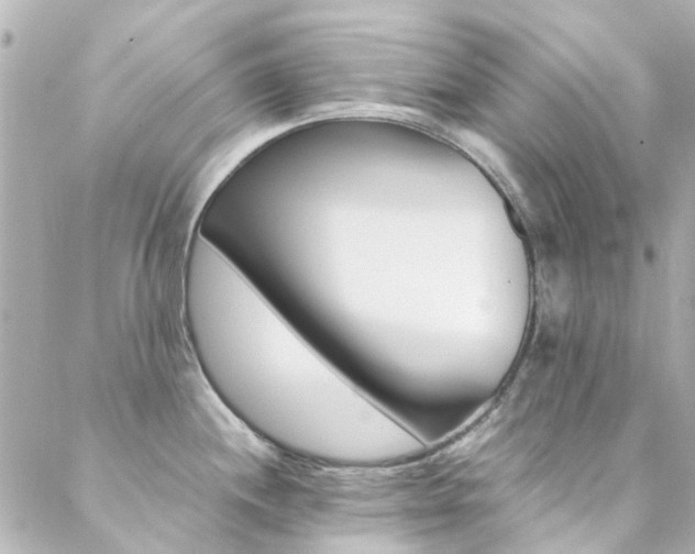 X0000089411244200706150931