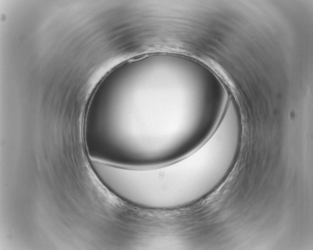 X0000089411246200706150931