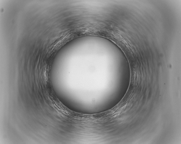 X0000089411250200706150931