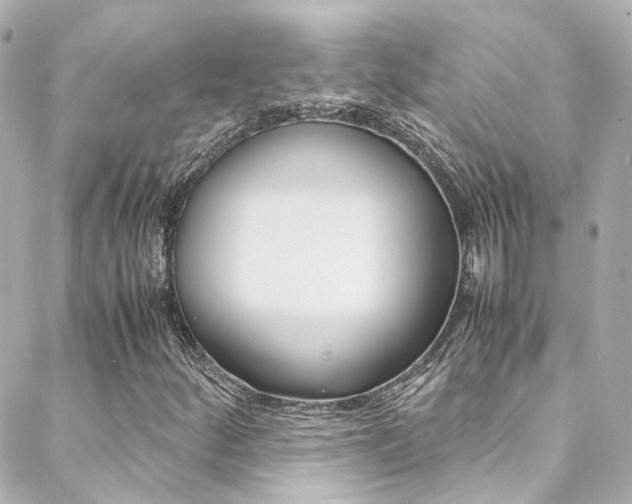 X0000089411252200706150931
