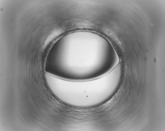 X0000089411261200706150931