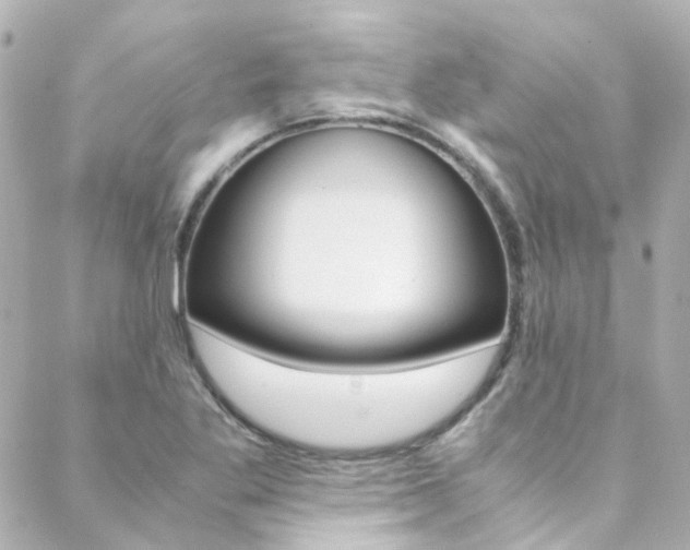 X0000089411269200706150930