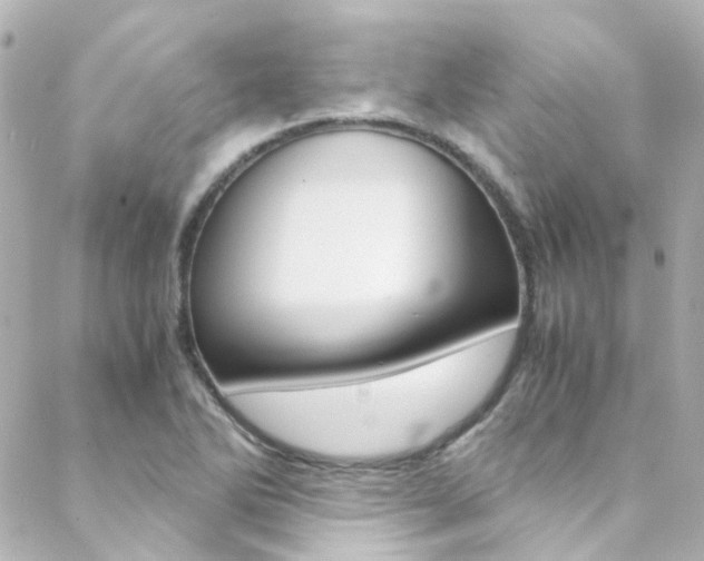 X0000089411270200706150930