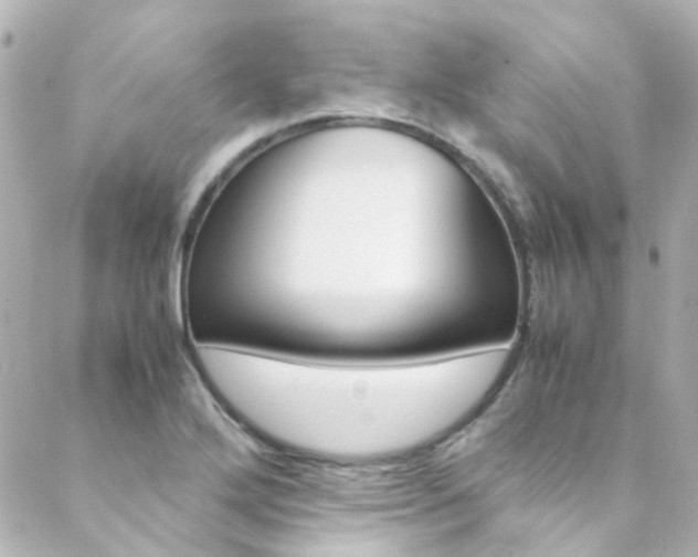 X0000089411272200706150930