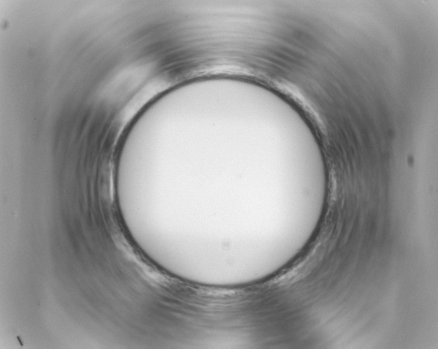 X0000089411274200706150930