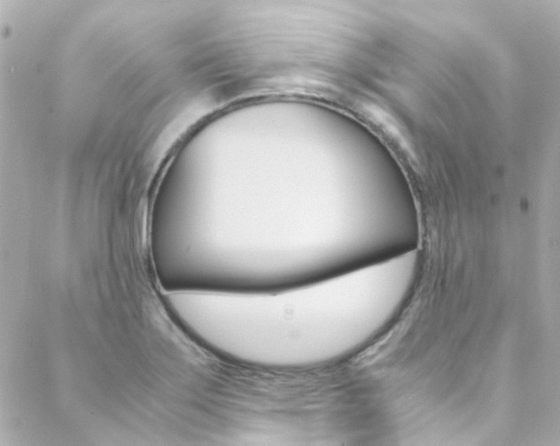 X0000089411275200706150930