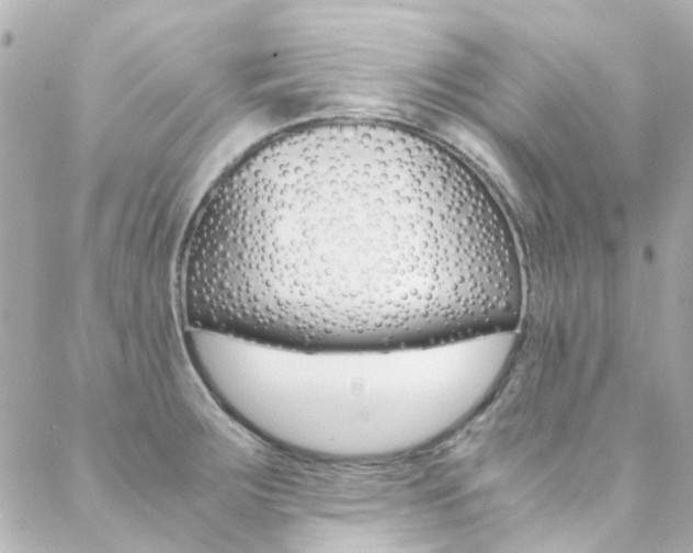 X0000089411283200706150930