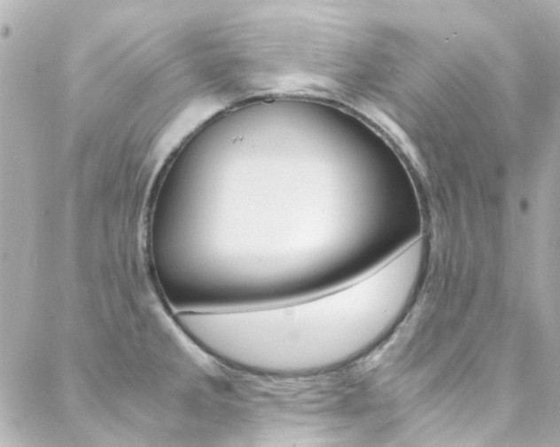 X0000089411285200706150930
