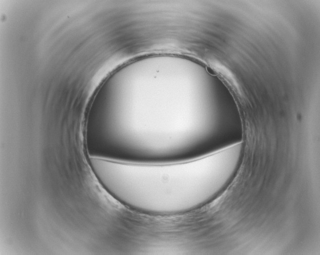 X0000089411288200706150930