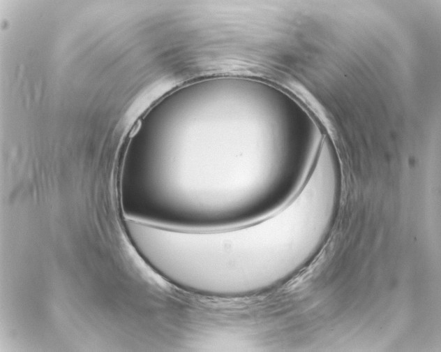 X0000089411293200706150930