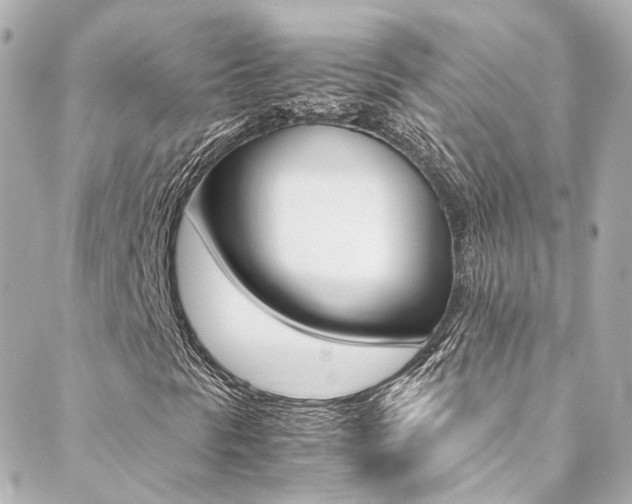 X0000089411297200706150929