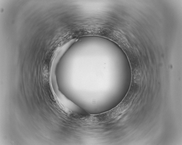 X0000089411298200706150929