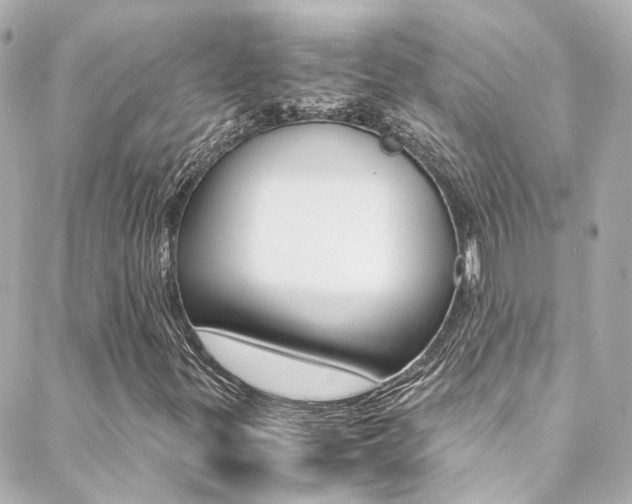 X0000089411299200706150929