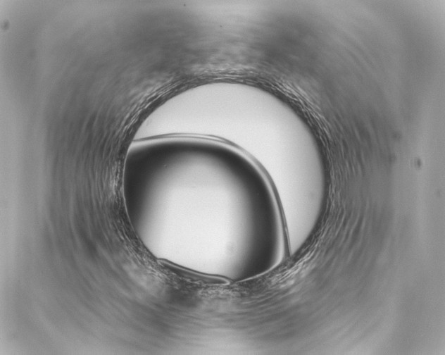 X0000089411300200706150929