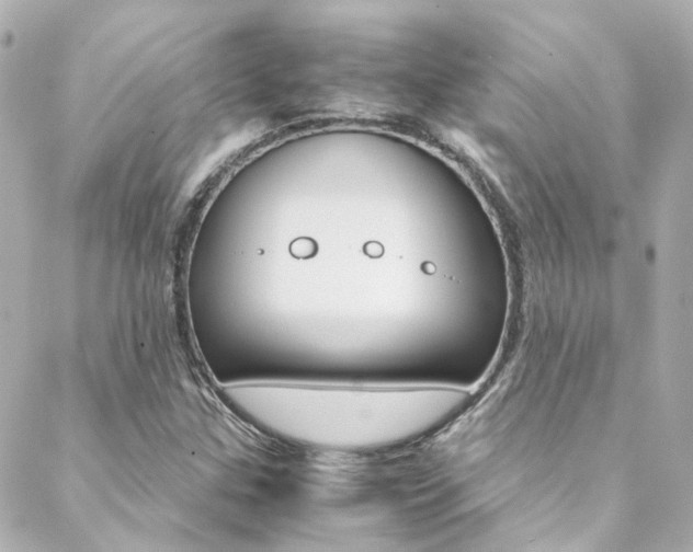 X0000089411307200706150929