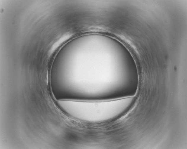 X0000089411317200706150929