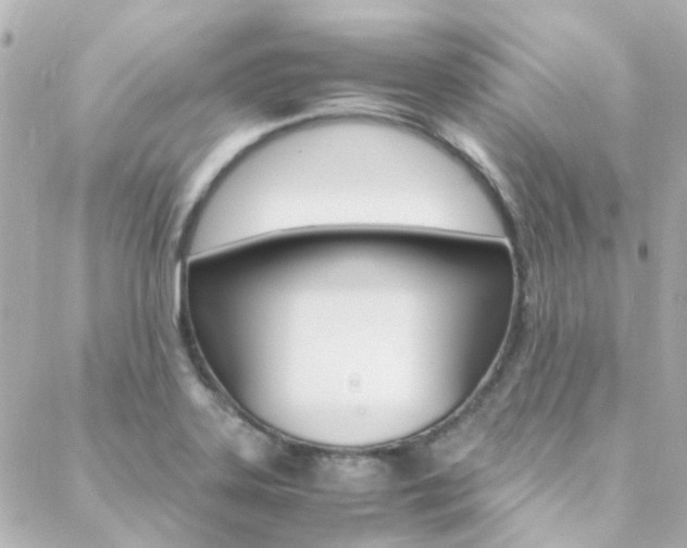 X0000089411323200706150930