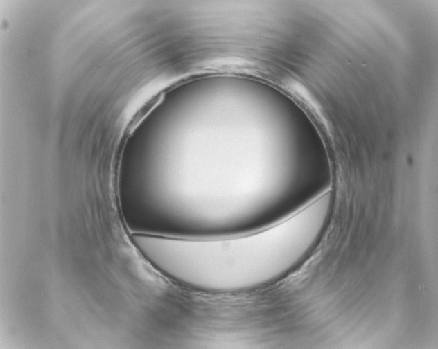 X0000089411336200706150930