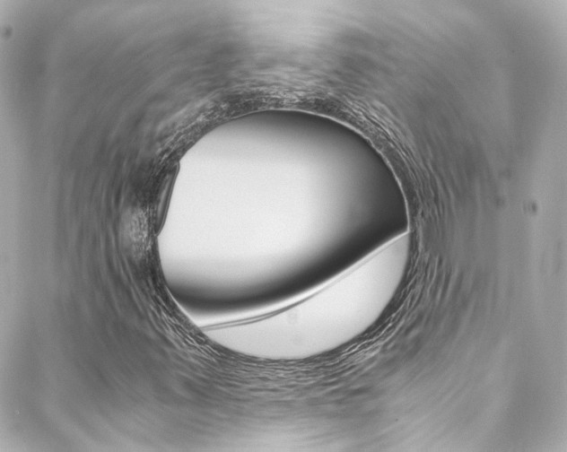 X0000089411347200706150929