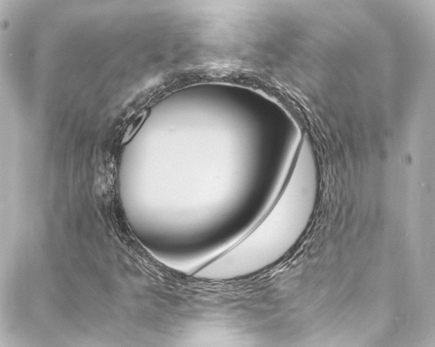 X0000089411349200706150929