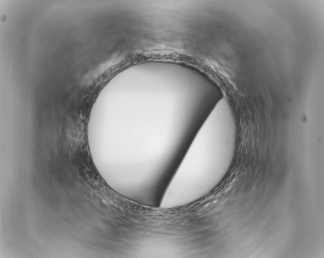 X0000089411350200706150929