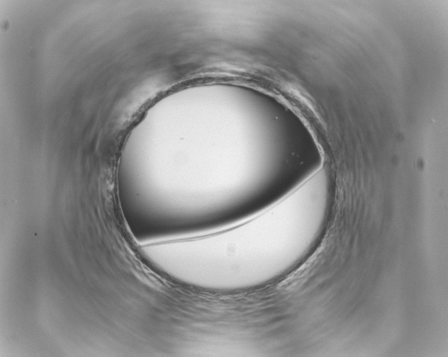 X0000089411355200706150929