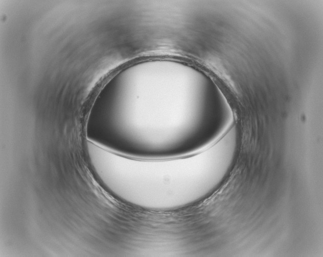 X0000089411356200706150929