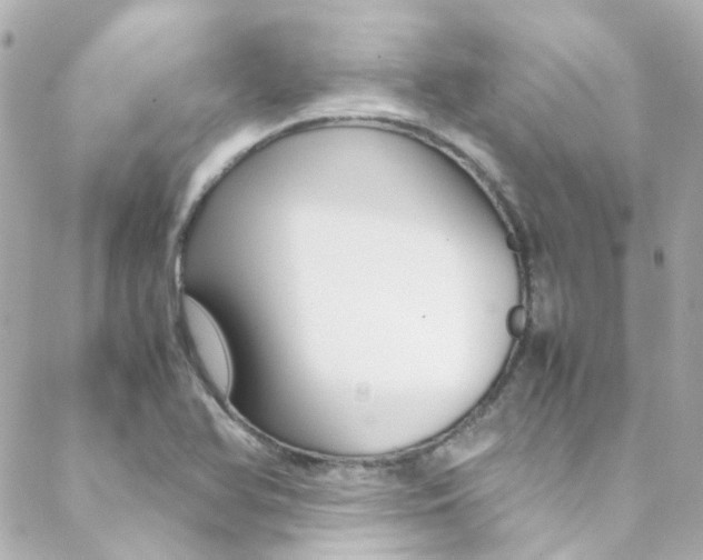 X0000089411366200706150929