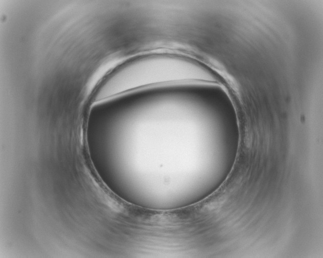 X0000089411368200706150929