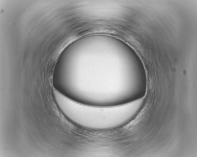 X0000089411369200706150929