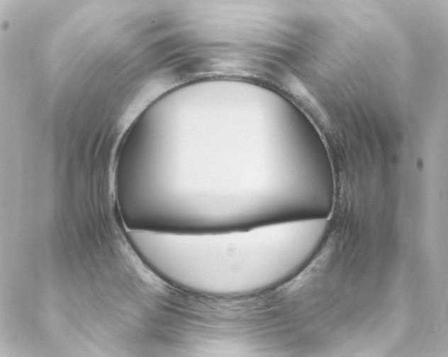 X0000089411370200706150929