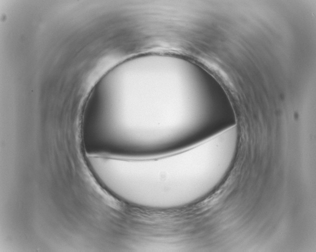 X0000089411375200706150929