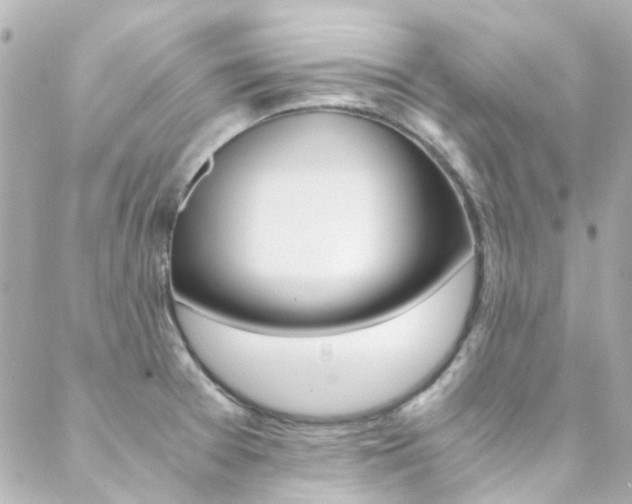 X0000089411377200706150929