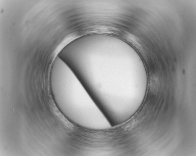 X0000089411378200706150929