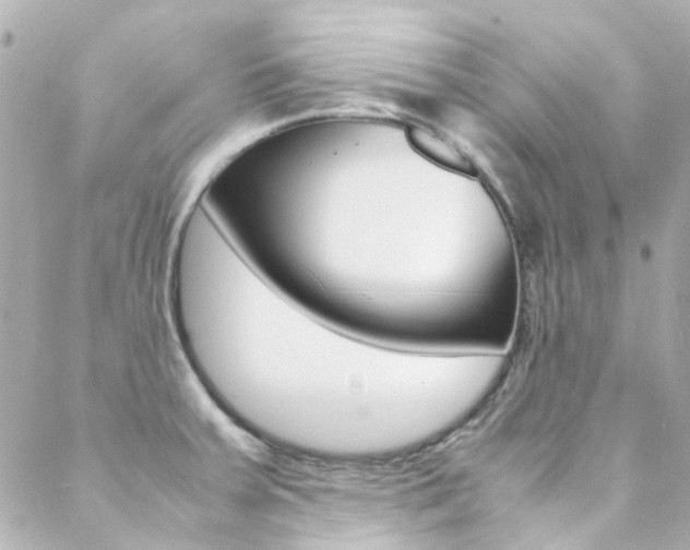 X0000089411379200706150929