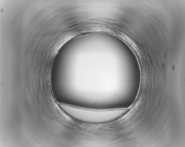 X0000089411385200706150929