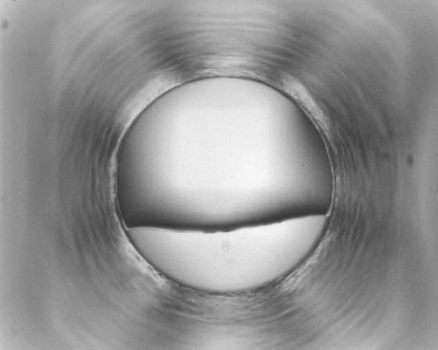 X0000089411386200706150928