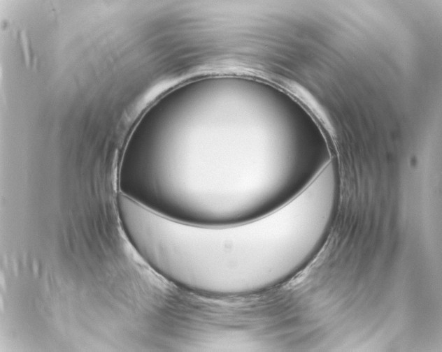 X0000089411388200706150928