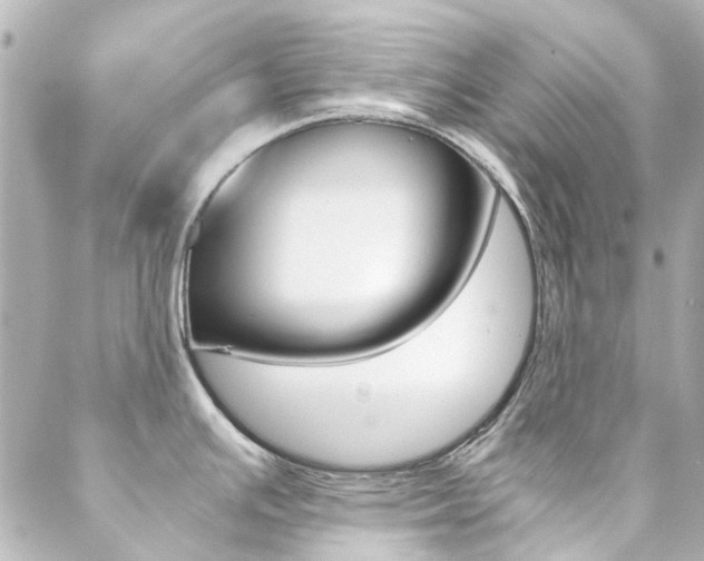 X0000089411391200706150928