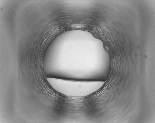 X0000089411393200706150928