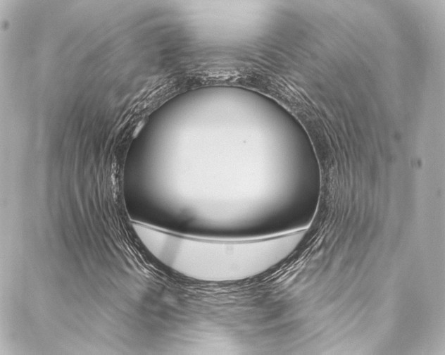 X0000089411394200706150928