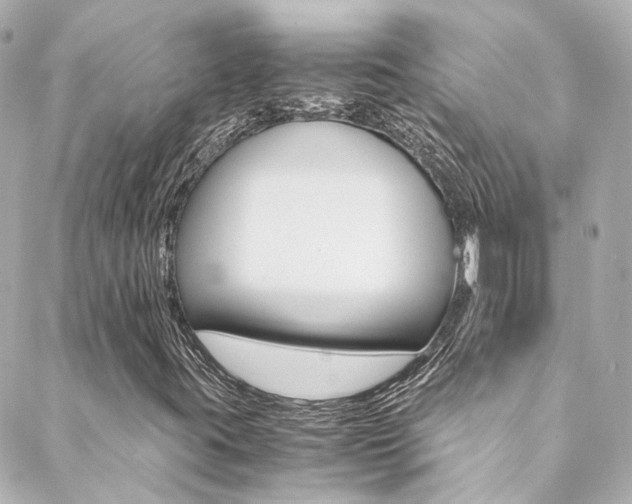 X0000089411395200706150928