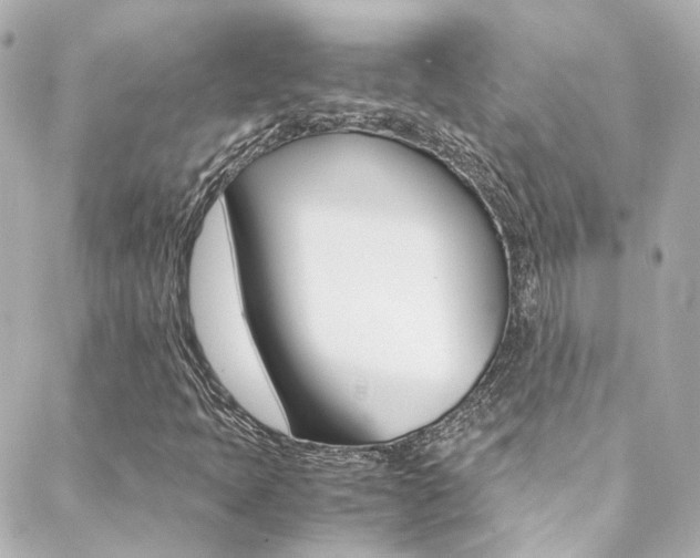 X0000089411397200706150928