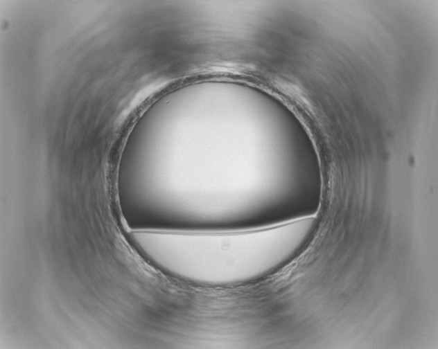 X0000089411404200706150928