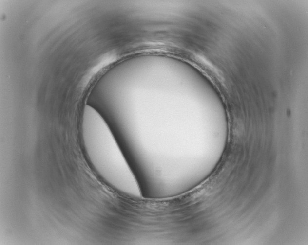 X0000089411411200706150928