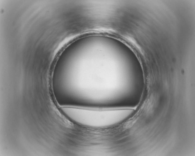 X0000089411412200706150928