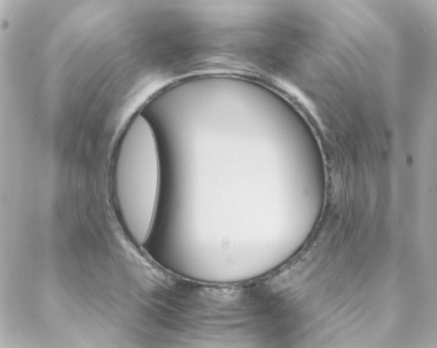 X0000089411415200706150928