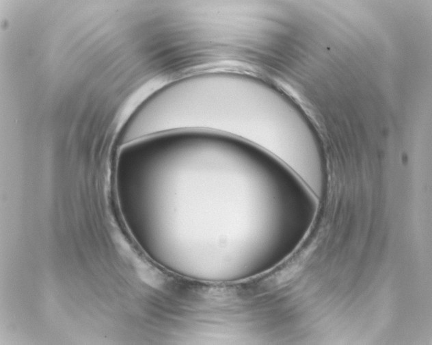 X0000089411418200706150928