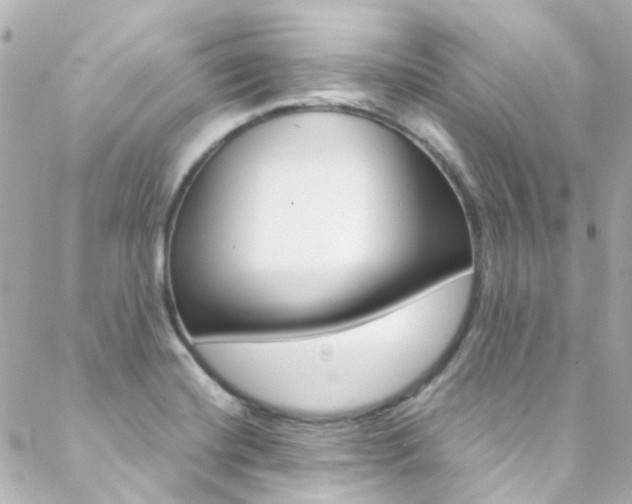X0000089411420200706150928