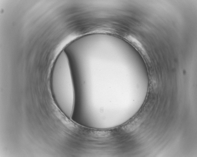 X0000089411427200706150928